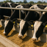 Por el cierre de la frontera, fueron regresadas 200 rees de Cuatro Ciénegas