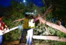 Encabeza Carlos Villarreal operativo de atención ciudadana por lluvias