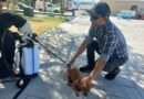 Arranca con éxito el programa “Patitas Sanas” en Frontera