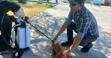 Arranca con éxito el programa “Patitas Sanas” en Frontera