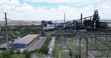 Tribunal desecha incidente innominado y síndico de AHMSA aclara venta de predio