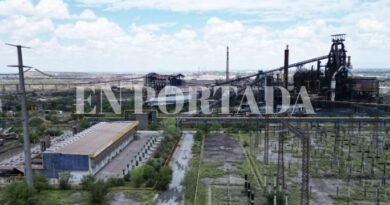 AHMSA ENTREGA BASES PARA LA SUBASTA DE ACTIVOS