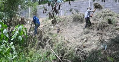 Por salud y seguridad, Sari Pérez refuerza la limpieza del arroyo Frontera