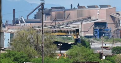 Impugnan venta de bodegas de AHMSA en pleno proceso concursal