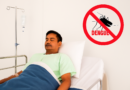 Salud Reporta Reducción del 88% en Casos de Dengue en el Último Año