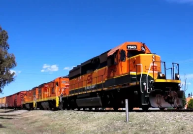 Síndico de AHMSA bajo presión: juez detecta vacíos, omisiones y posibles irregularidades en ventas y cuentas del concurso mercantil