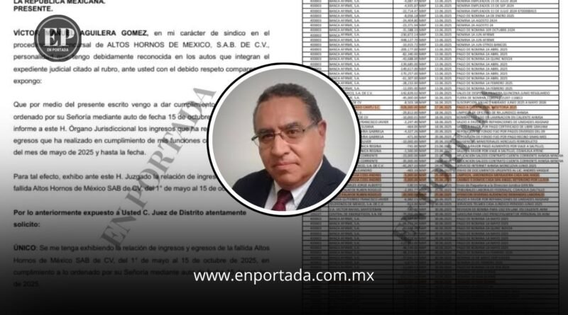 AHMSA reporta ingresos por más de 64 millones de pesos, pero gasta en lavandería, viáticos y asesorías mientras sigue paralizada