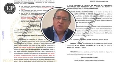 ¿Estrategia o incapacidad? El síndico de AHMSA frena la subasta a horas de haber aceptado el calendario